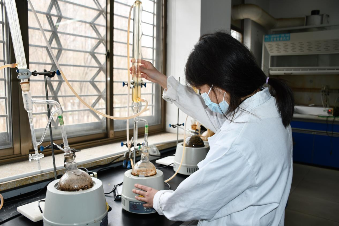 一年之計(jì)在于春，青春奮斗正當(dāng)時(shí)——醫(yī)養(yǎng)健康集團(tuán)